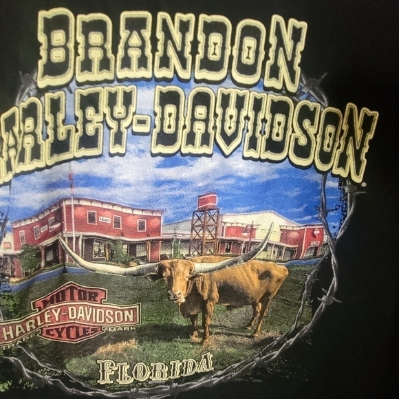 Men's brandon harley davidson t shirt ( L ) - Picture 3 of 3